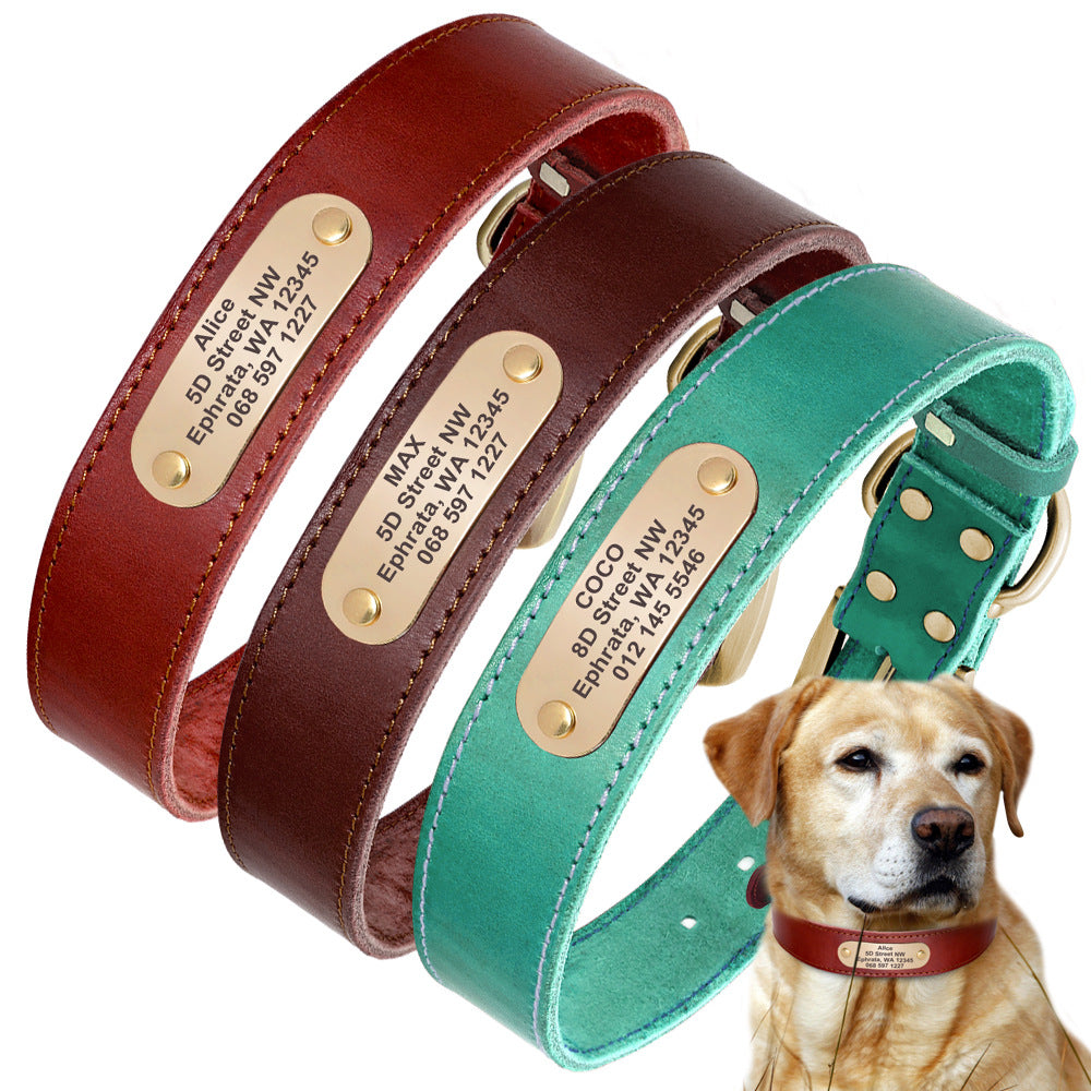 Personalized Dog Collars with Nameplate ID Tags for Medium Large Dogs - The Dog Branch