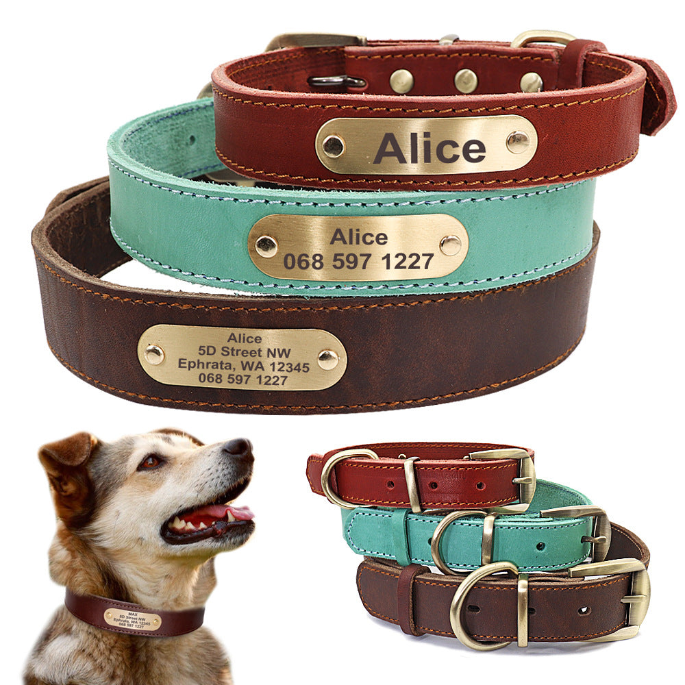 Personalized Dog Collars with Nameplate ID Tags for Medium Large Dogs - The Dog Branch