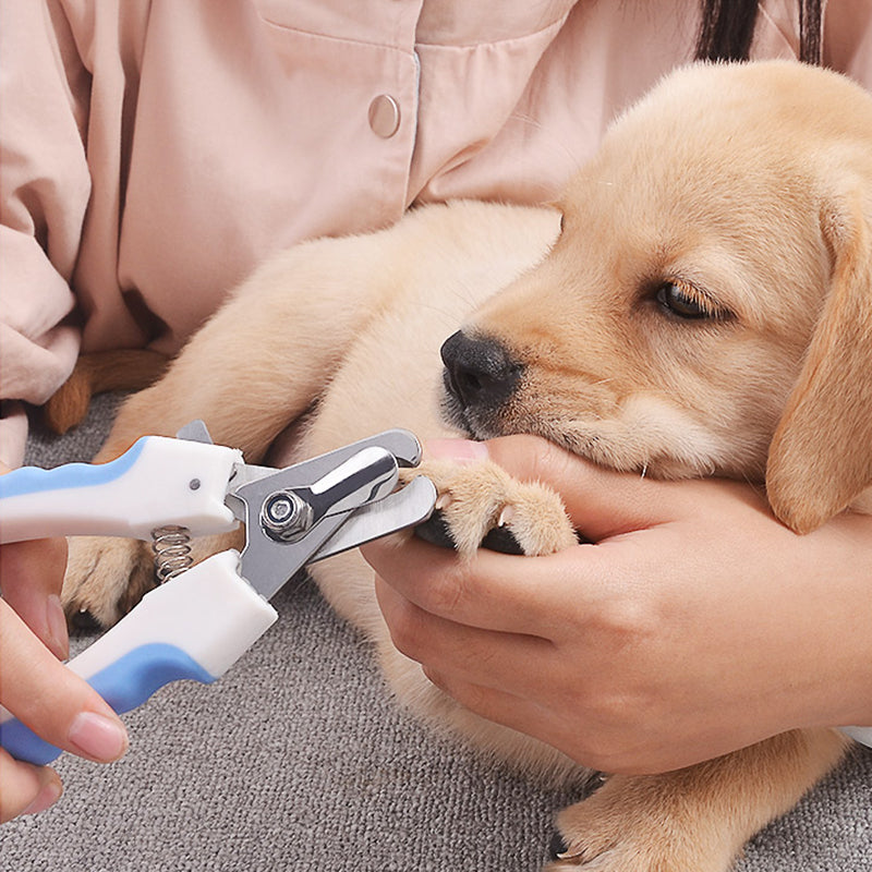 Pet Nail Clippers - For The Pupple