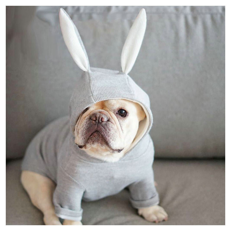 Small dog knitted sweater rabbit ears costume - For The Pupple