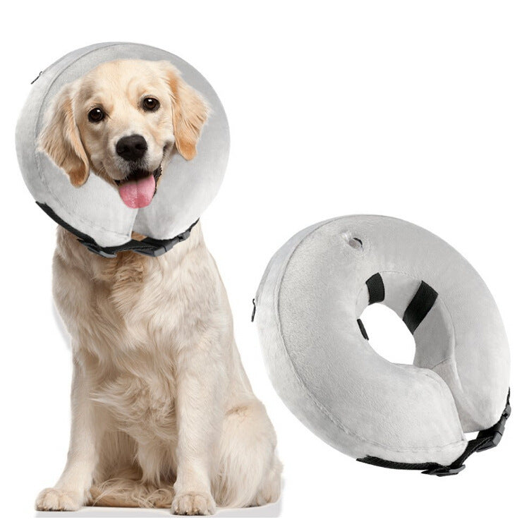 Inflatable Pet Collars - For The Pupple