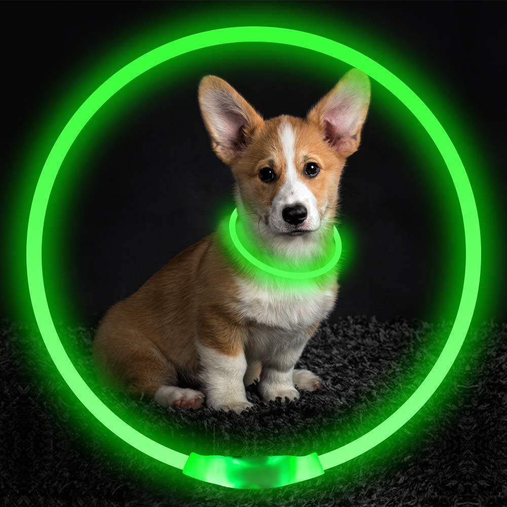 Pet Flashing Collar USB Rechargeable Glowing Necklace Safety Collar Light Up Collars For Night Walking Electric Dog Collar Neon - For The Pupple