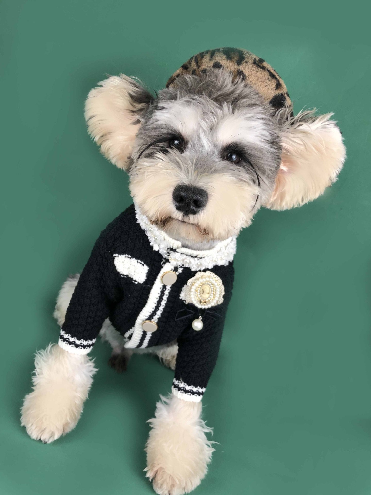 Dog Clothes Spring Small Fragrant Wind Sweater Cardigan Schnauzer Pomeranian - For The Pupple
