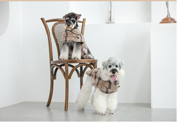 Coat Windbreaker Small Dog Pet Clothing - For The Pupple