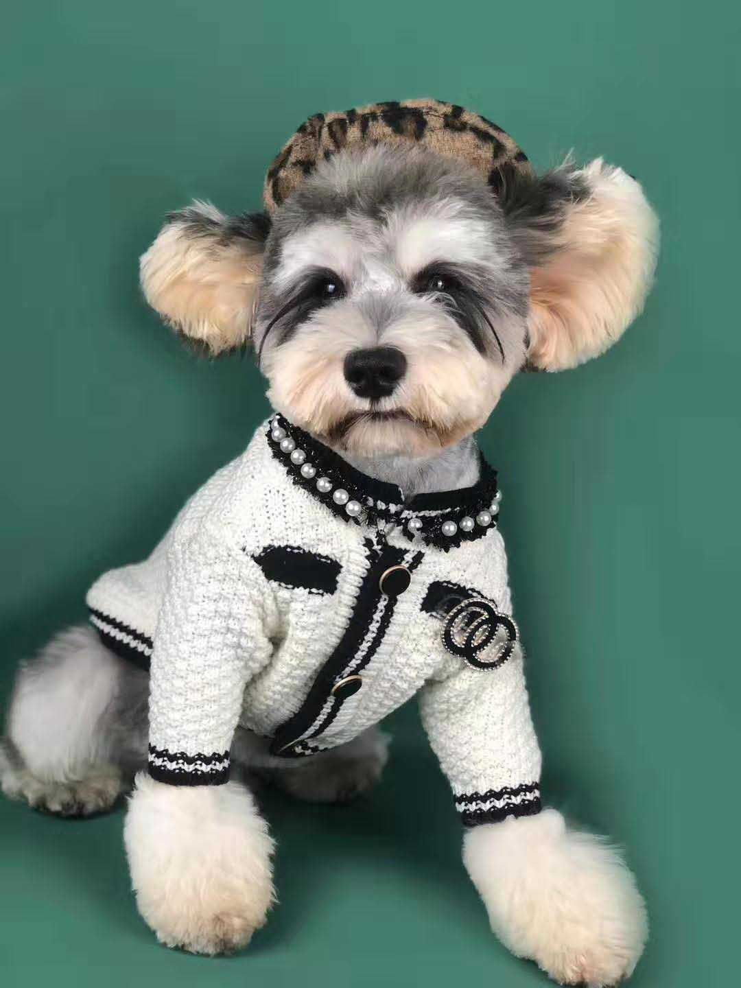 Dog Clothes Spring Small Fragrant Wind Sweater Cardigan Schnauzer Pomeranian - For The Pupple